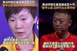  王曼昱说冠军属于国乒 