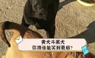 富力挑战泰达，势均力敌谁能笑到最后？