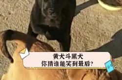 富力挑战泰达，势均力敌谁能笑到最后？