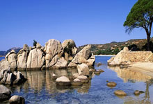 关于马赛主场战胜梅斯，收获胜利继续稳固排名前五的信息