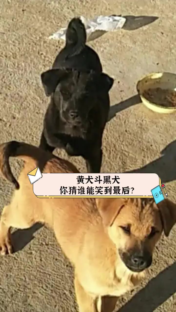 富力挑战泰达，势均力敌谁能笑到最后？
